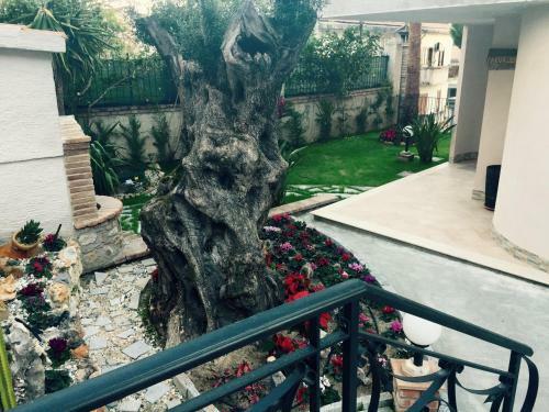 Hostal Piccola Dimora Villa Candido