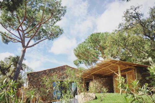 Apartamento R�sidence Les Oliviers