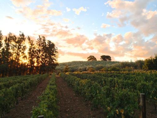 Agroturismo Calais Wine Estate