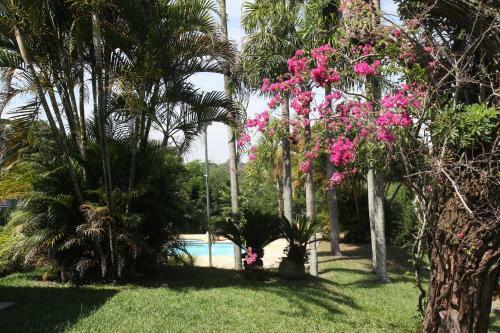 Espa�o Sorrentino's