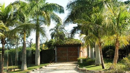 Espa�o Sorrentino's