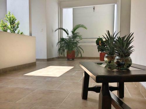 Monteverde Hotel