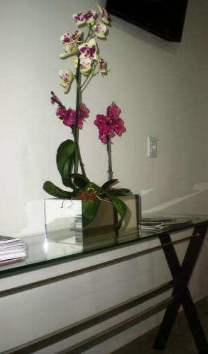 Hotel San Martin