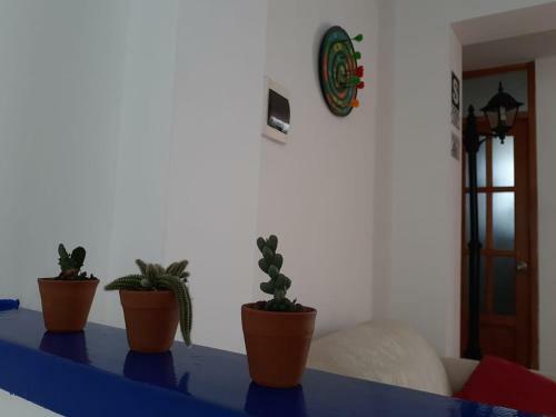 Albergue Wachaque Surf