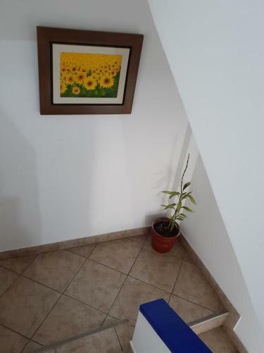 Albergue Wachaque Surf