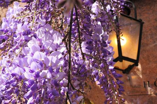 Hotel Sy Les Glycines