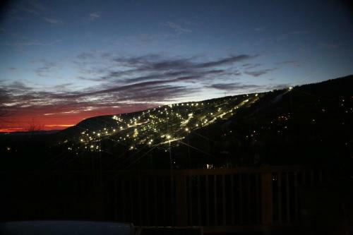 Skiview Pocono Townhouse Rental At Camelback