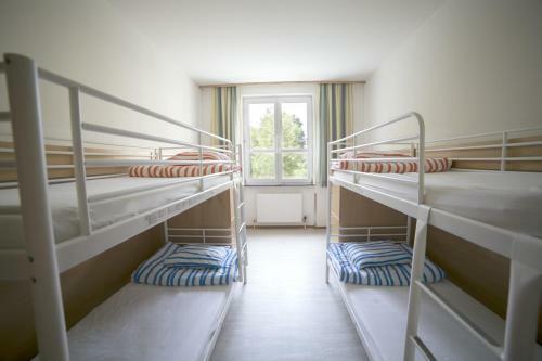 Hostal Muffin Hostel