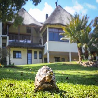 Hotel Winelands Villa Guesthouse & Cottages