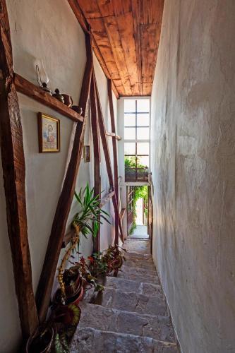 Hostal Hostel Pashov