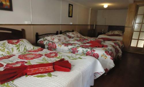 Hostal Patagonico