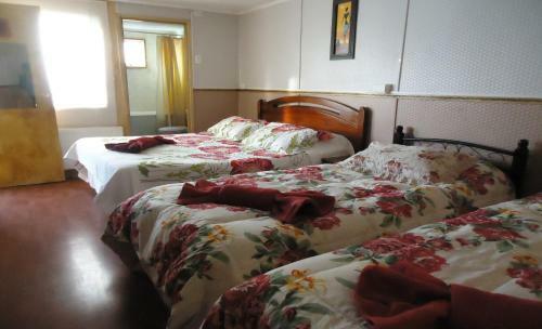 Hostal Patagonico