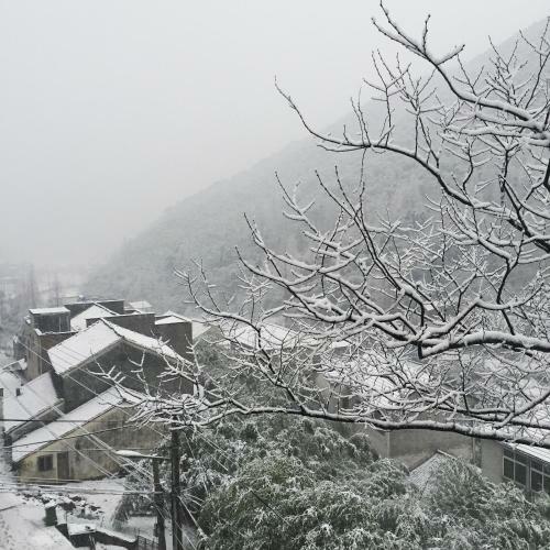 Moganshan Yincuiju