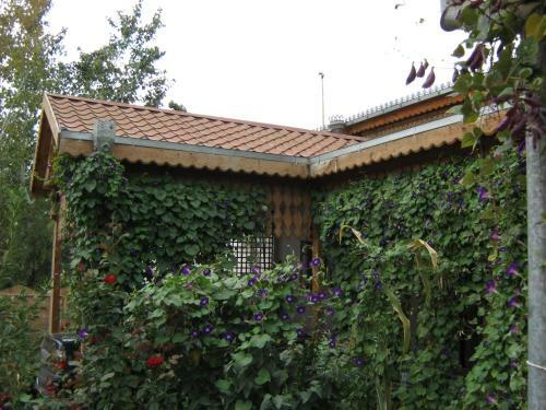 Hostel Laliopa