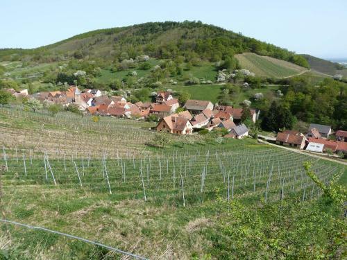 Schiefferberg