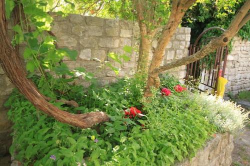 Apartment Osor 8004a
