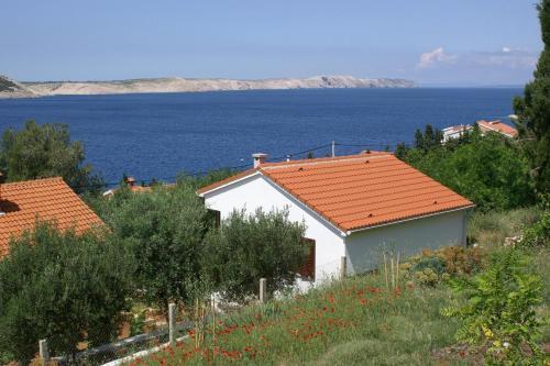 Seaside Holiday House Stara Novalja (pag) - 4152