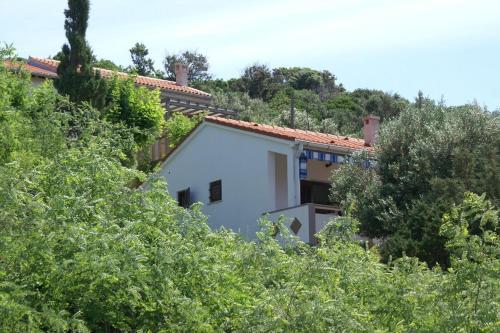 Seaside Holiday House Stara Novalja (pag) - 4152