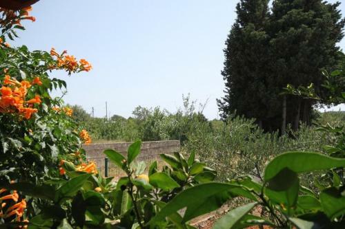 Hostal Studio Susica 8265b