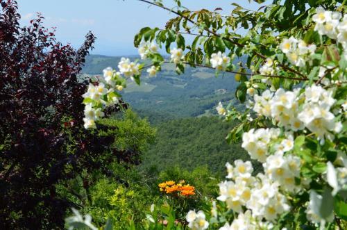 Agroturismo Casa Ercole Farm Stay