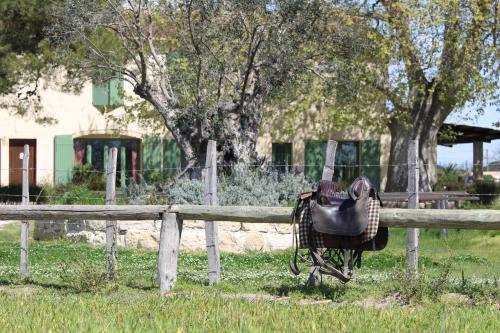 Bed & Breakfast Mas De La Paix