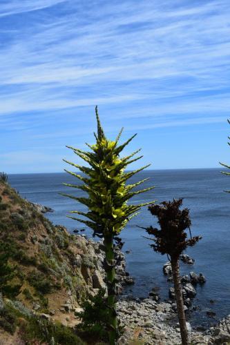 Lodge Caba�as Carilafquen