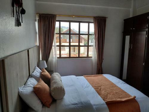 Aleida's Hostal