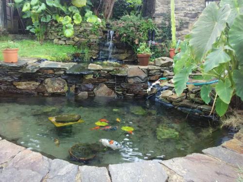 Agroturismo Casa Rural O Carreiro