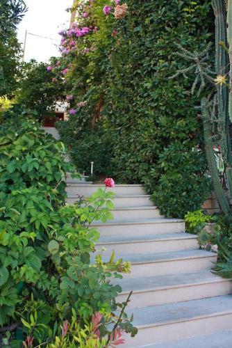 Hostal Studio Brela 2752d