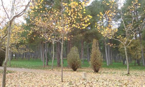 Camping Caravaning Cuenca