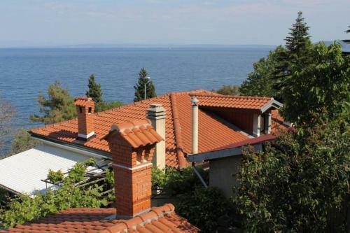 Hostal Triple Room Medveja 7775d