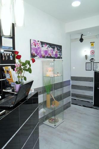Hostal Mirabilia
