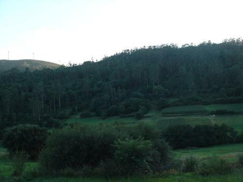 Casas Lucas - Carleo