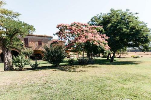 Villa Casa Rural Mas Nou D'en Lliure Peratallada
