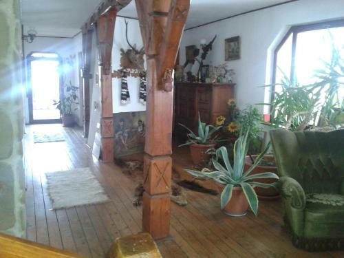 Hostal Perla Maramuresului