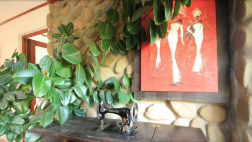 Hostal Perla Maramuresului