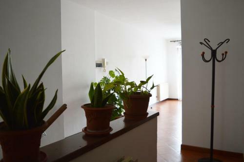 Bed & Breakfast Il Corso