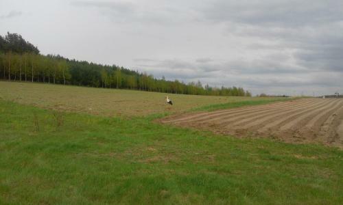 Zielone Kresy