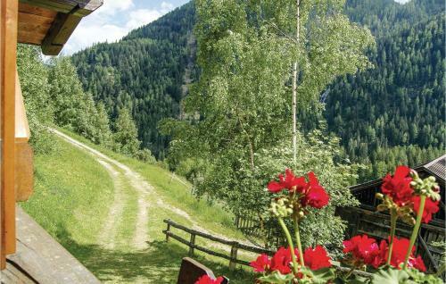 Apartment Maso Roncal