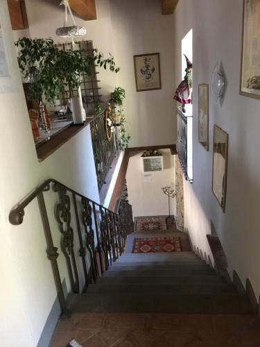 B&B Puccini