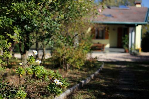 Casa Vacanze Selva
