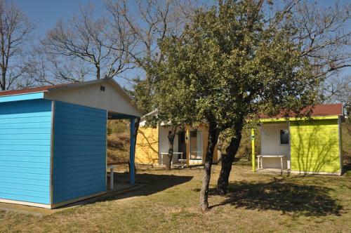 Team Holiday - Camping Mas Llinas