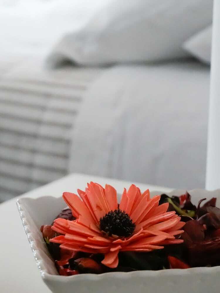 B&B Le Palme