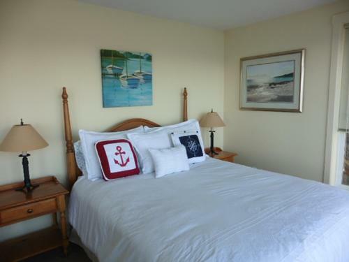 Dolphin Beach Oceanfront Cottage