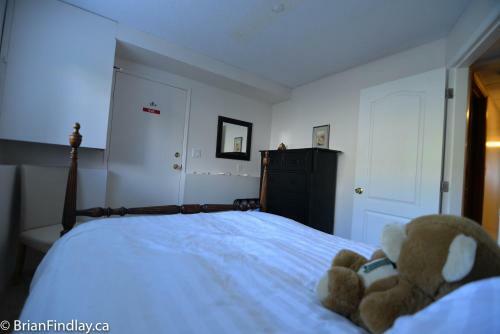 Apartamentos Sunshine Coast Suites