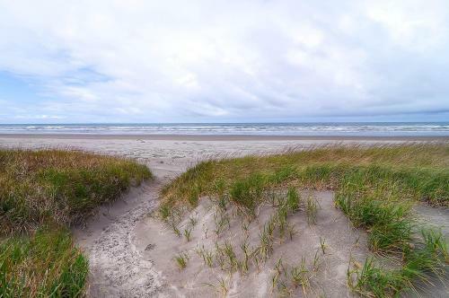 Beach Haven
