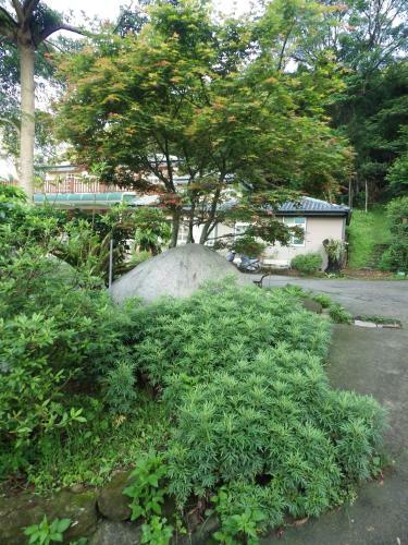 Hostal Fourseasons Bozhu Villa