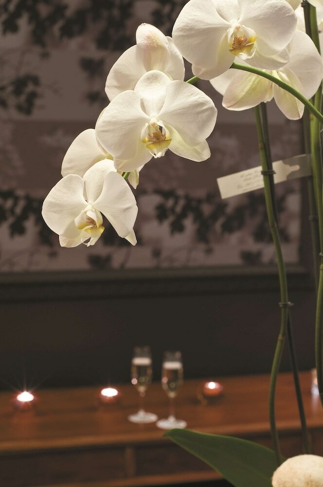 Radisson Blu Balmoral Hotel, Spa
