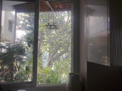 Bed & Breakfast Maya's Nest