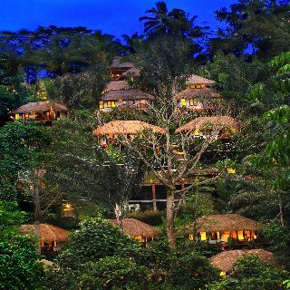 Hotel Nandini Bali Jungle Resort And Spa